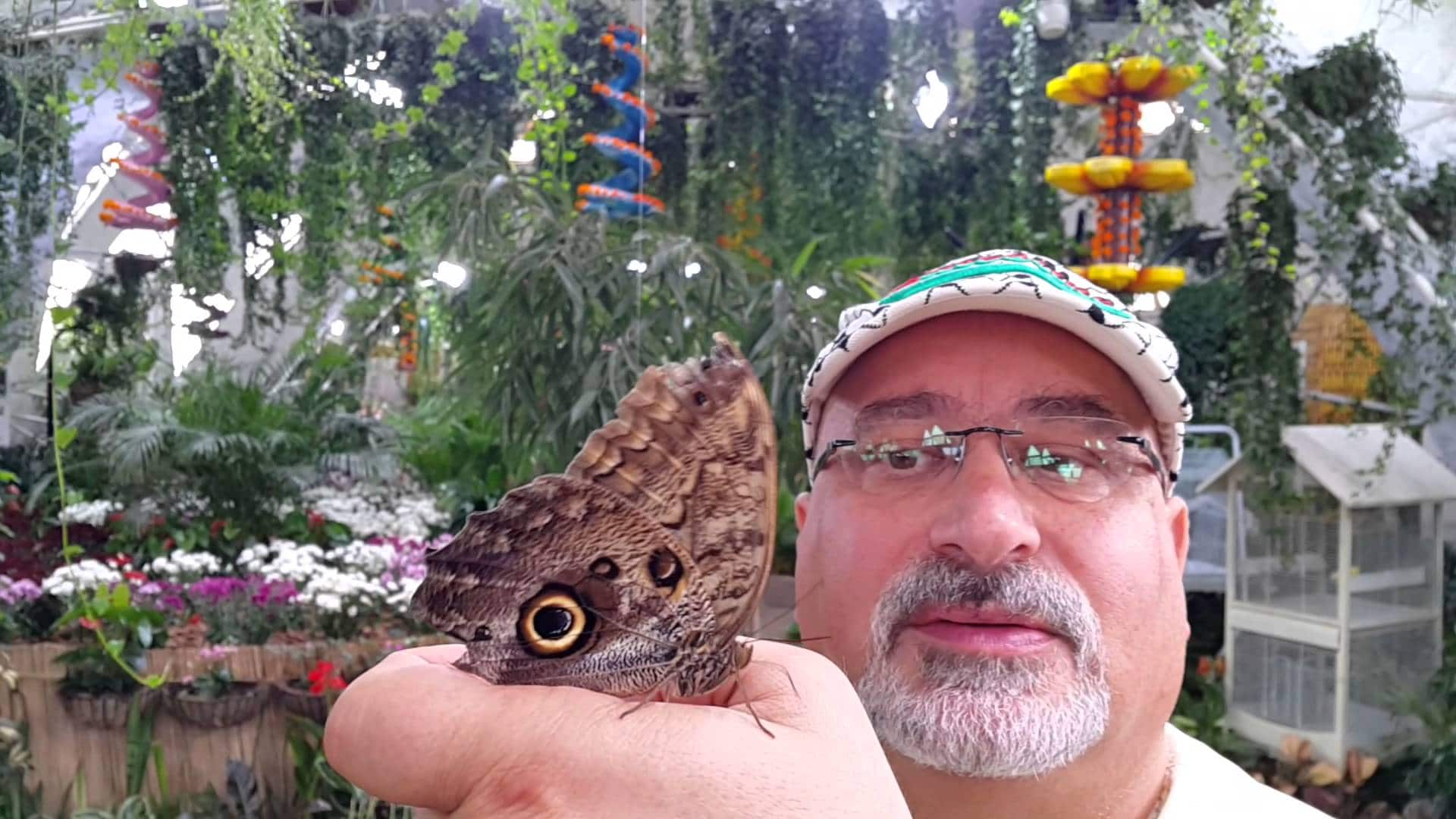 Butterfly Garden Дубай